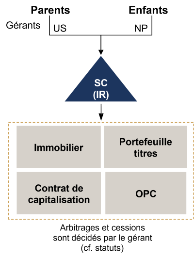 Soci&eacute;t&eacute; Civile d&eacute;membrement.png