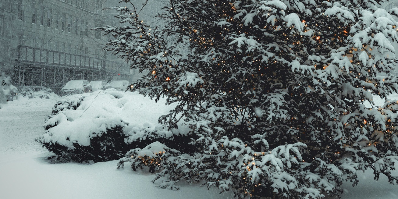 Article header - The Grinch (400x200).jpg