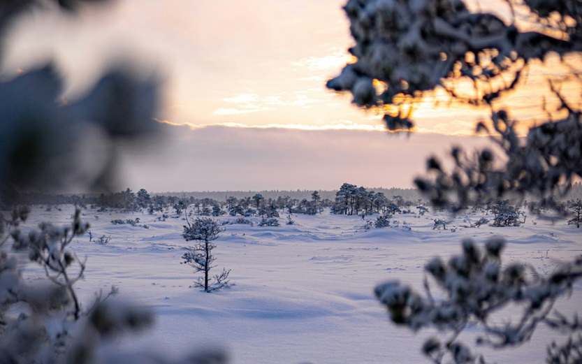 MMS_01_web.jpg