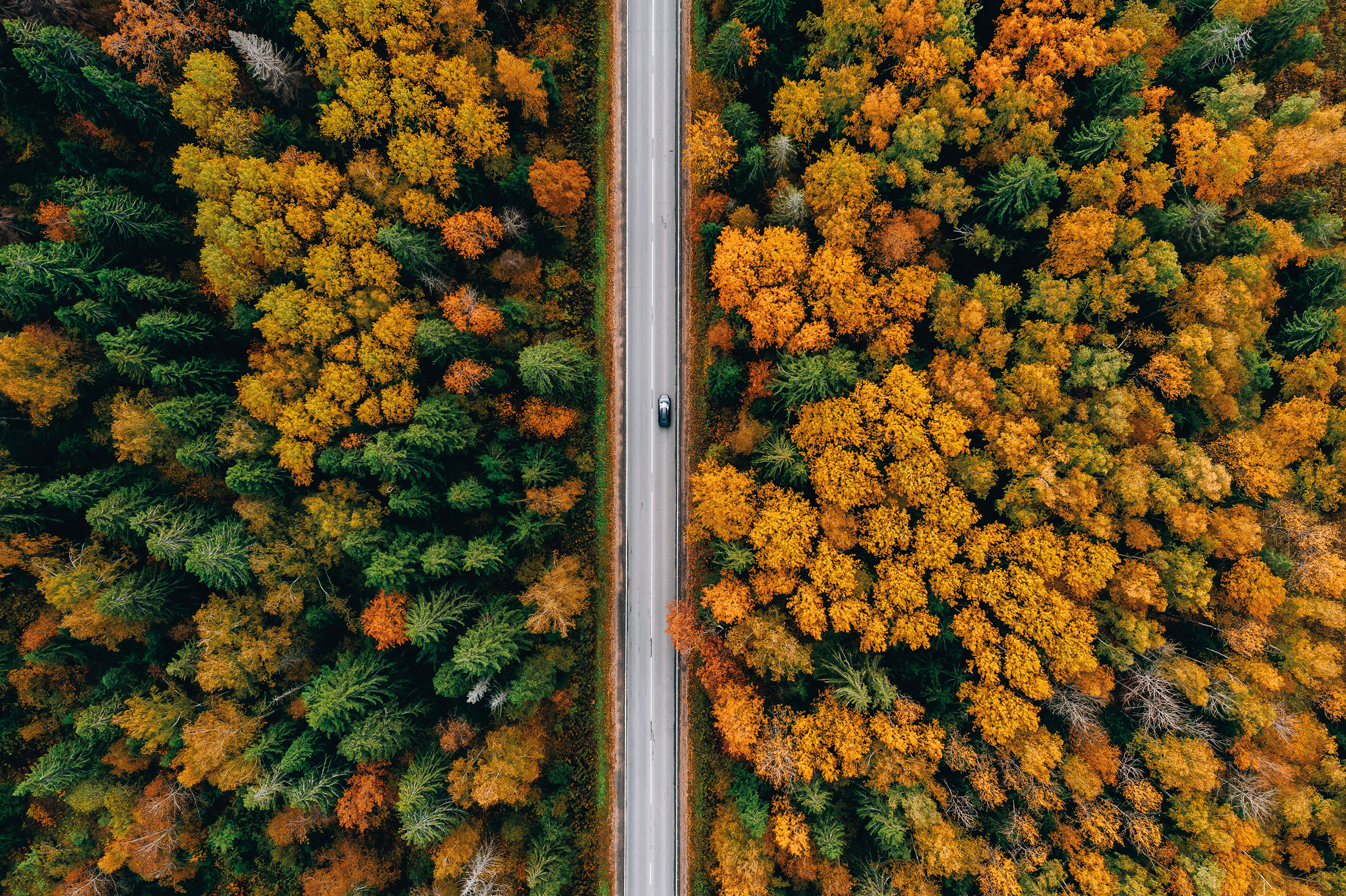 140923AdobeStock_636254038_reduced size.jpg