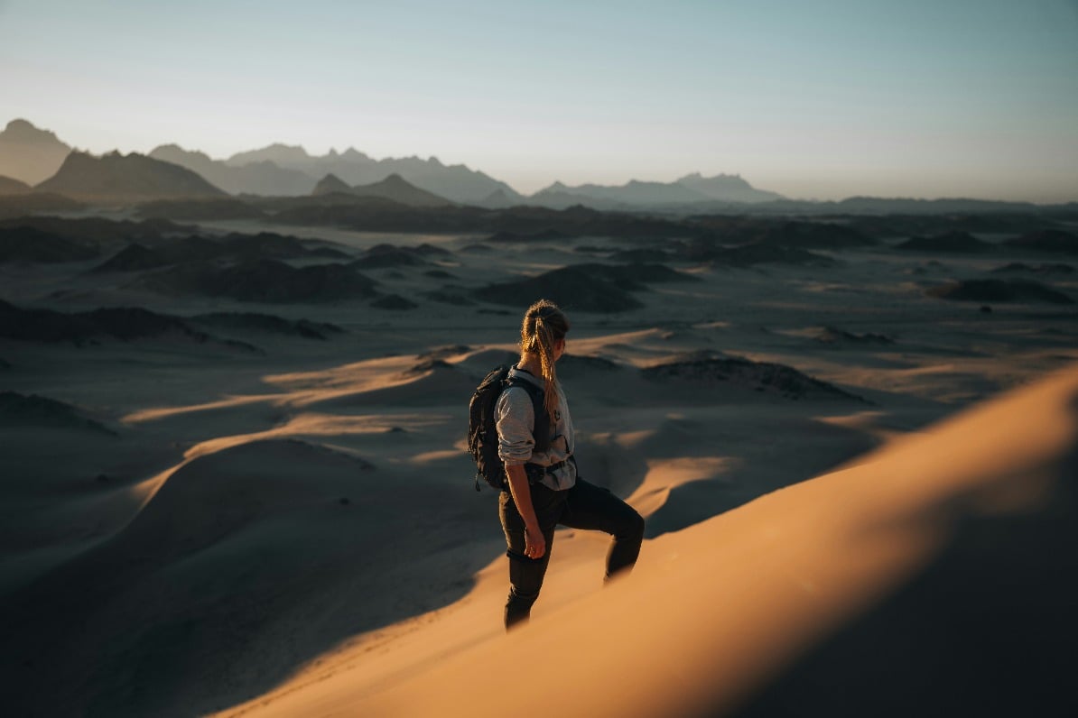 The Economics of Wanderlust