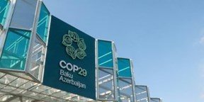 Making sense of COP29_DE