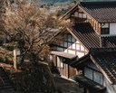 Japan – beyond the carry trade