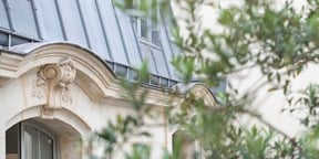 batiment type parisien avec feuille et branche d'arbre