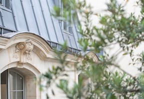 batiment type parisien avec feuille et branche d'arbre