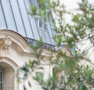 batiment type parisien avec feuille et branche d'arbre