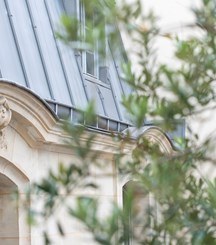 batiment type parisien avec feuille et branche d'arbre