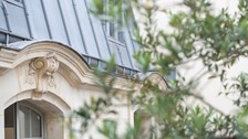 batiment type parisien avec feuille et branche d'arbre