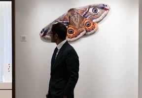 Client standing in front of a butterfly art installation on the wall