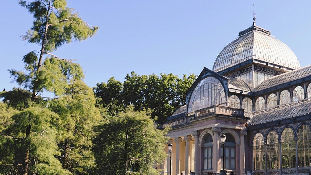 Architectural greenhouse in Madrid's famous park surrounded by trees