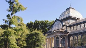 Architectural greenhouse in Madrid's famous park surrounded by trees
