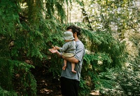 Father holding young child in pine forest