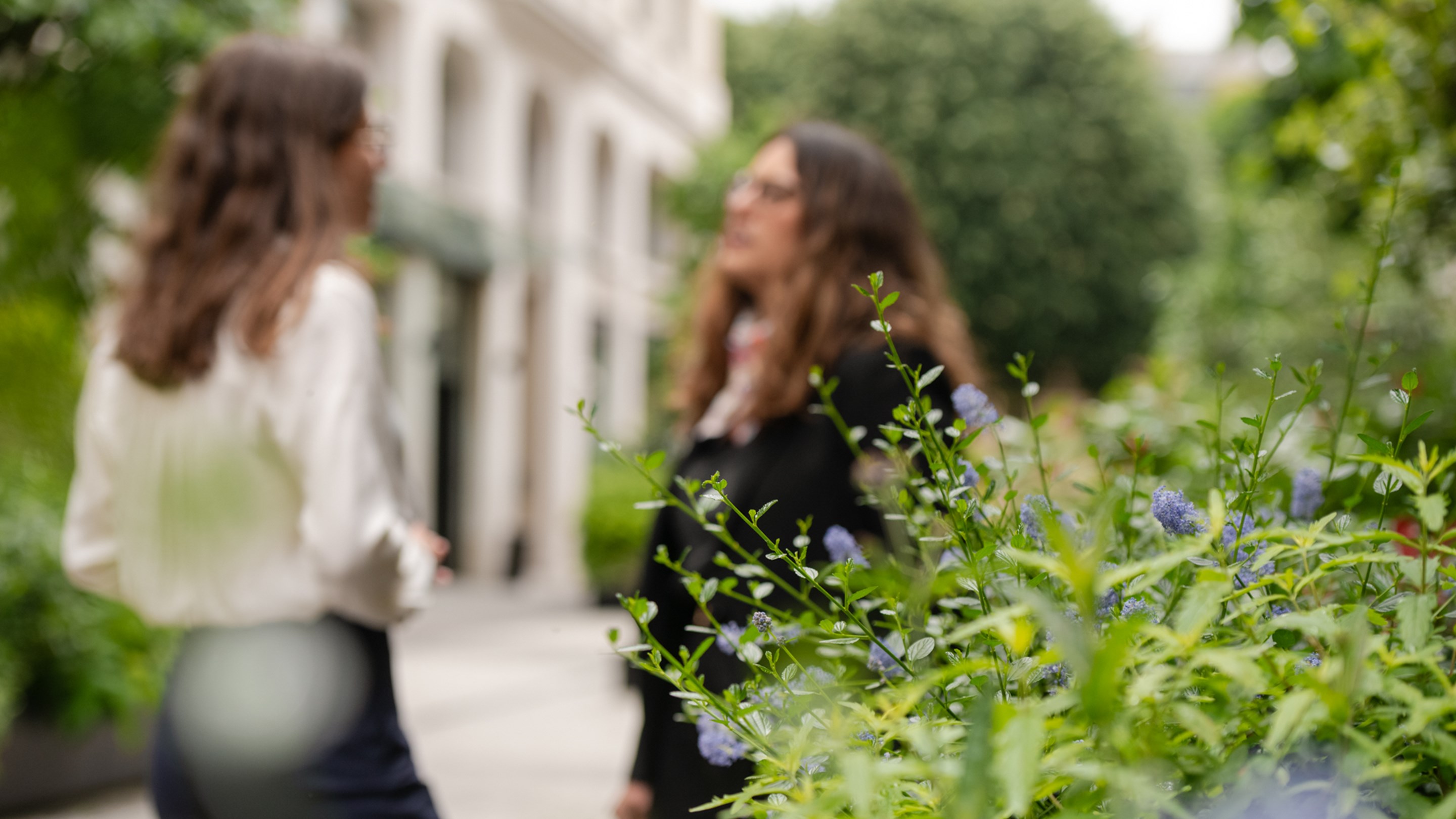 A woman stands on a garden path, holding a camera to her eye, focused on a subject. Lush greenery surrounds her, creating a serene and focused atmosphere.