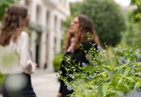 A woman stands on a garden path, holding a camera to her eye, focused on a subject. Lush greenery surrounds her, creating a serene and focused atmosphere.
