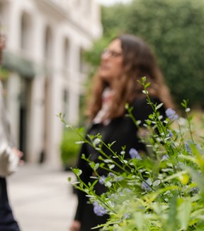 A woman stands on a garden path, holding a camera to her eye, focused on a subject. Lush greenery surrounds her, creating a serene and focused atmosphere.