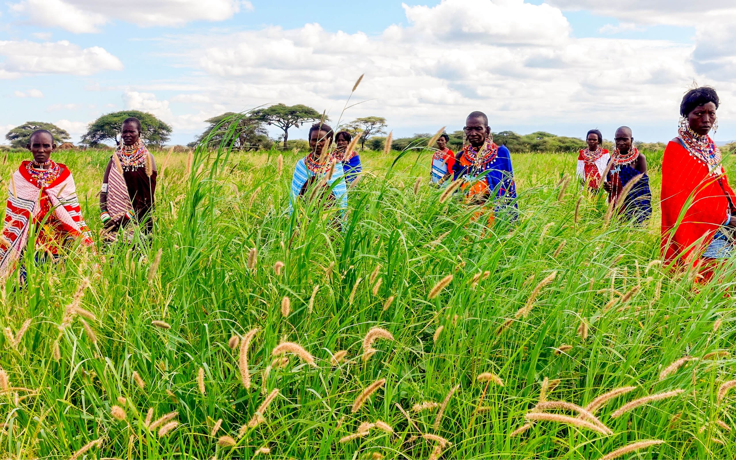 Loacl communities in sub-saharan Africa stood amongst tall grass