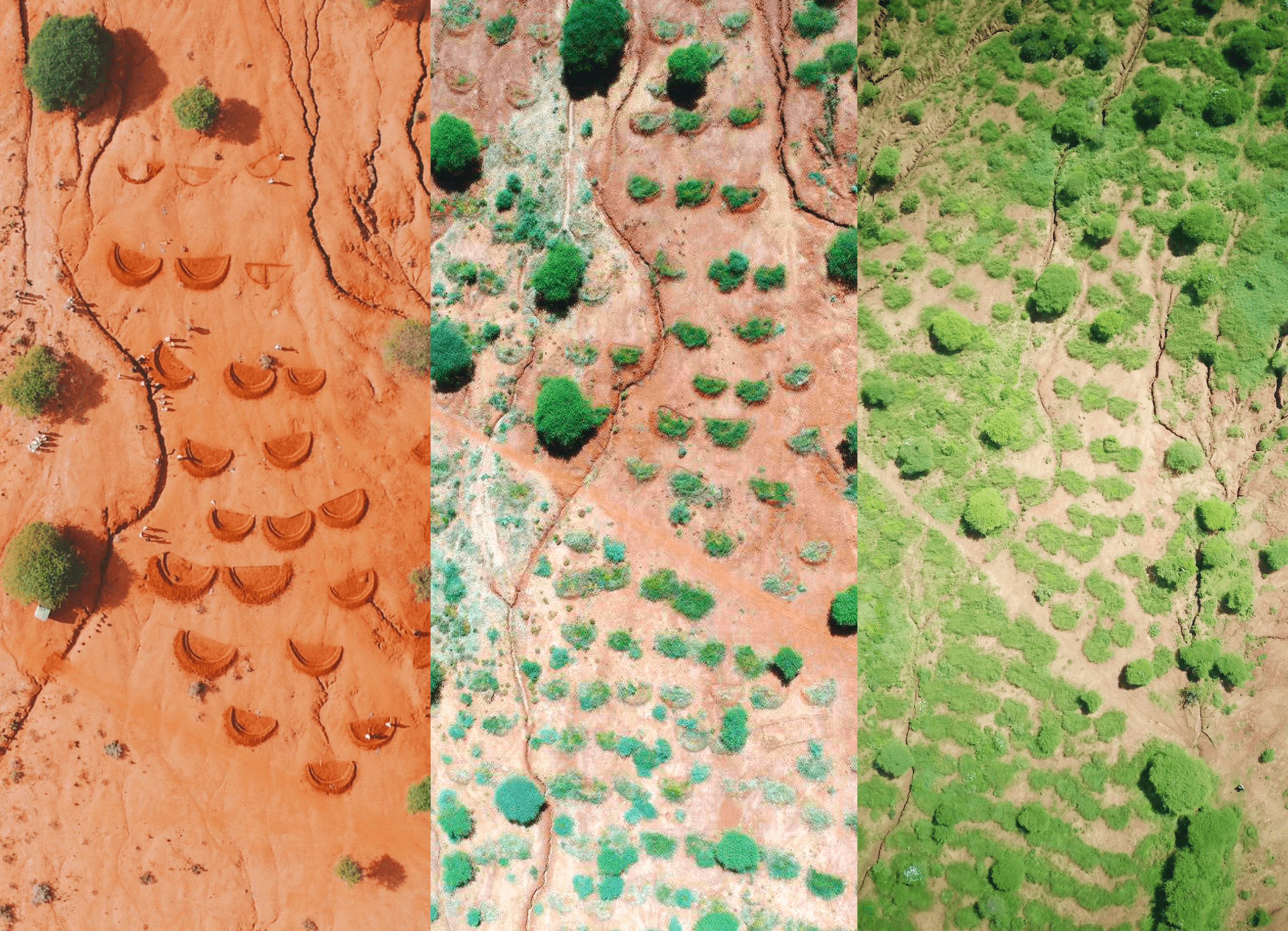 before and after of degraded landscape, going from barren land to lush vegetation