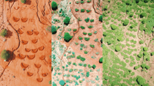 Justdiggit regreen before and after