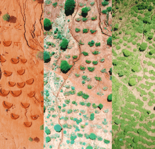 Justdiggit regreen before and after