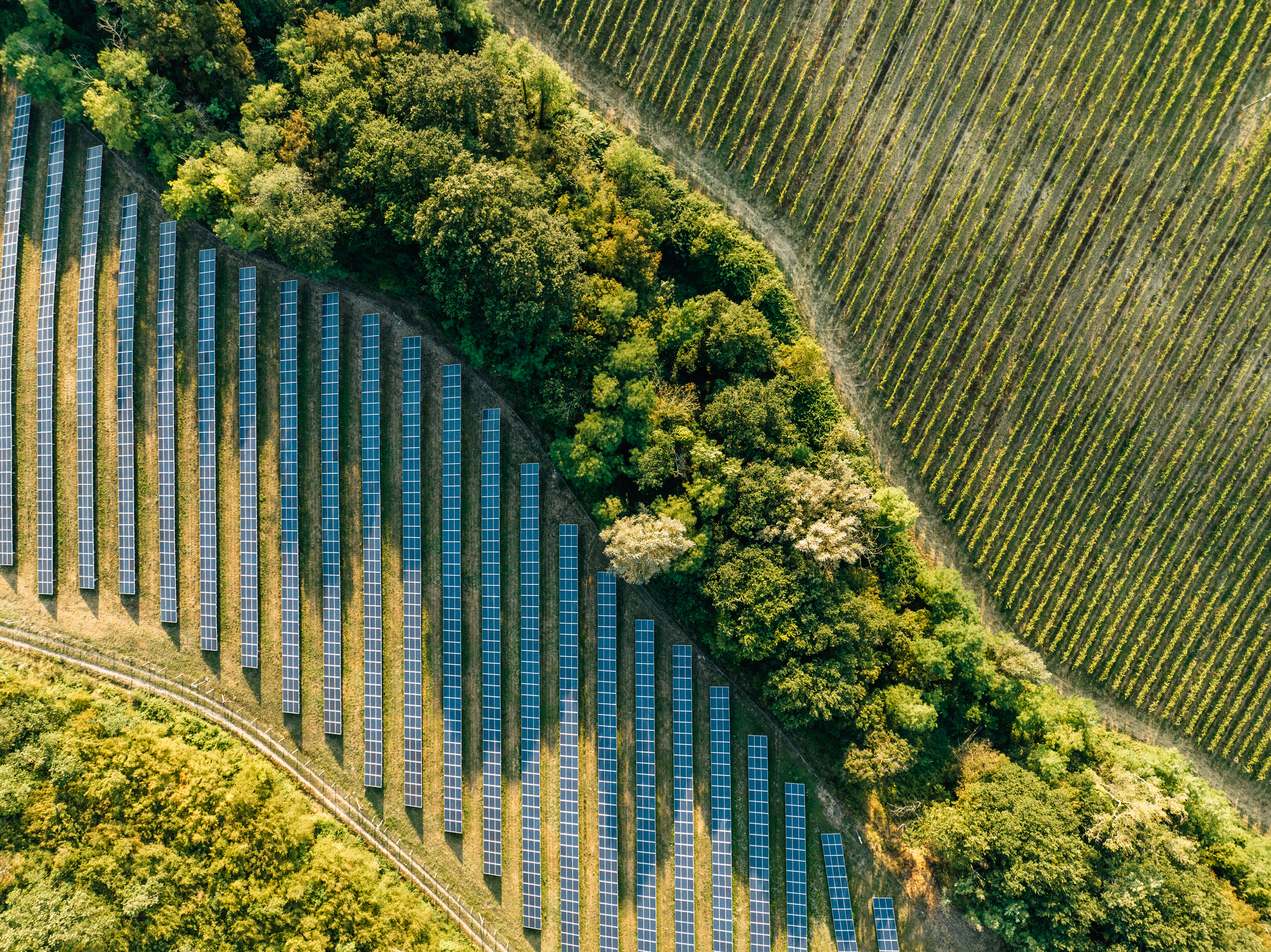 aerial view of fileds with solar panels