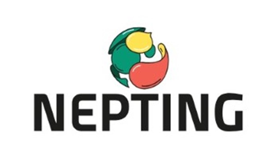 Nepting logo