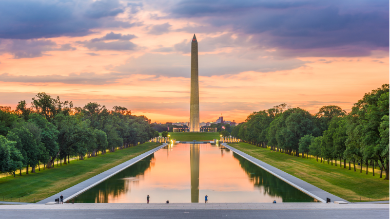 Website (800x450)-2-US Policy Bus Tour (Washington DC)