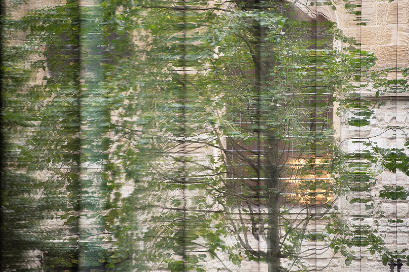 About us Rothschild & Co