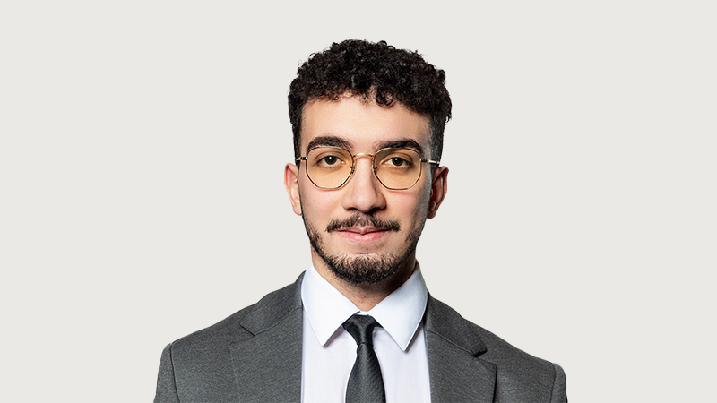 Mehdi Kelsen