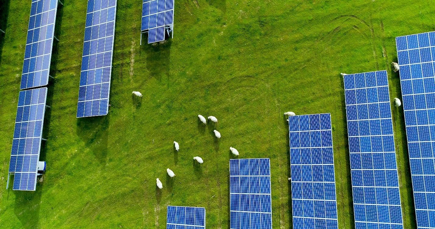 Agrivoltaisme
