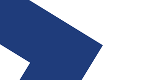 Best Practice Guide cover detail logo