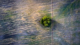 Birdseye view of agricultural field