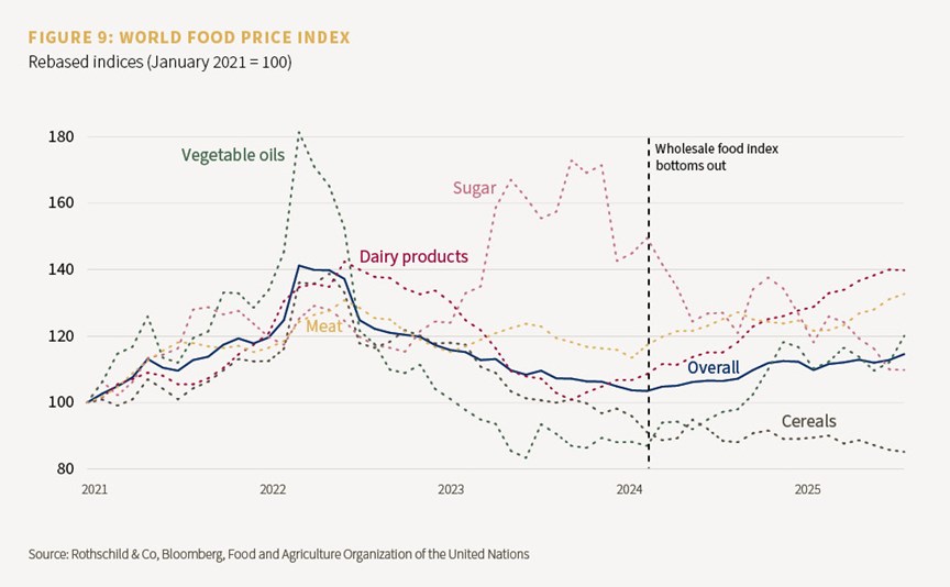 Chart showing the world food price index