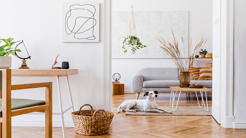 An image of a dog lying on the floor in the family home.