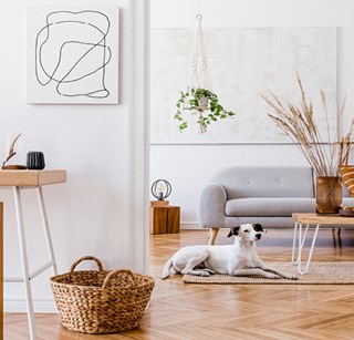 An image of a dog lying on the floor in the family home.