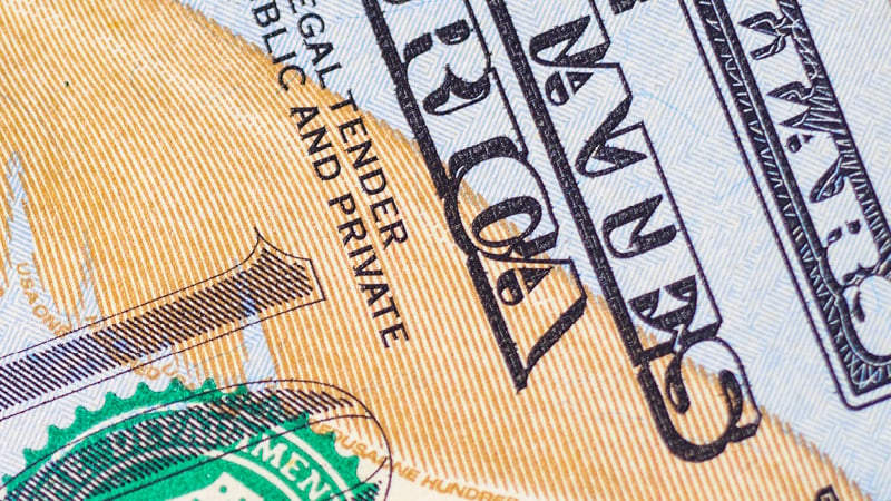 US 100 dollar bil