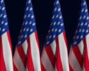 USA Flags