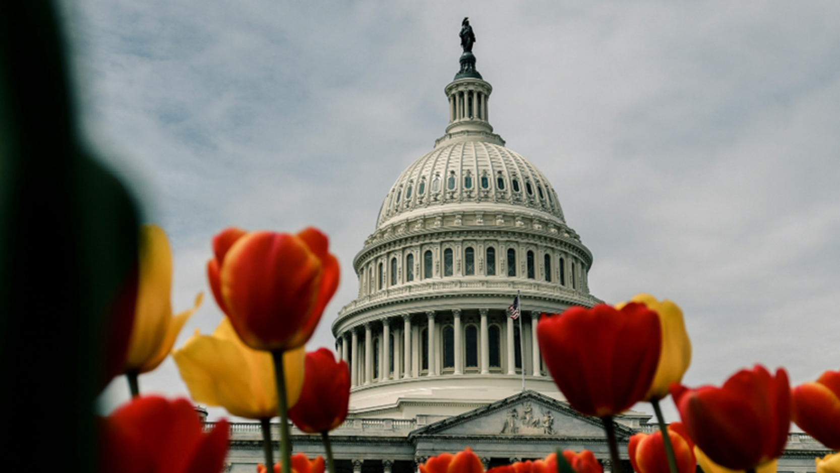 Capitol building, Washington D.C.