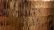 Close-up of textured bronze-toned surface with abstract pattern and reflective details