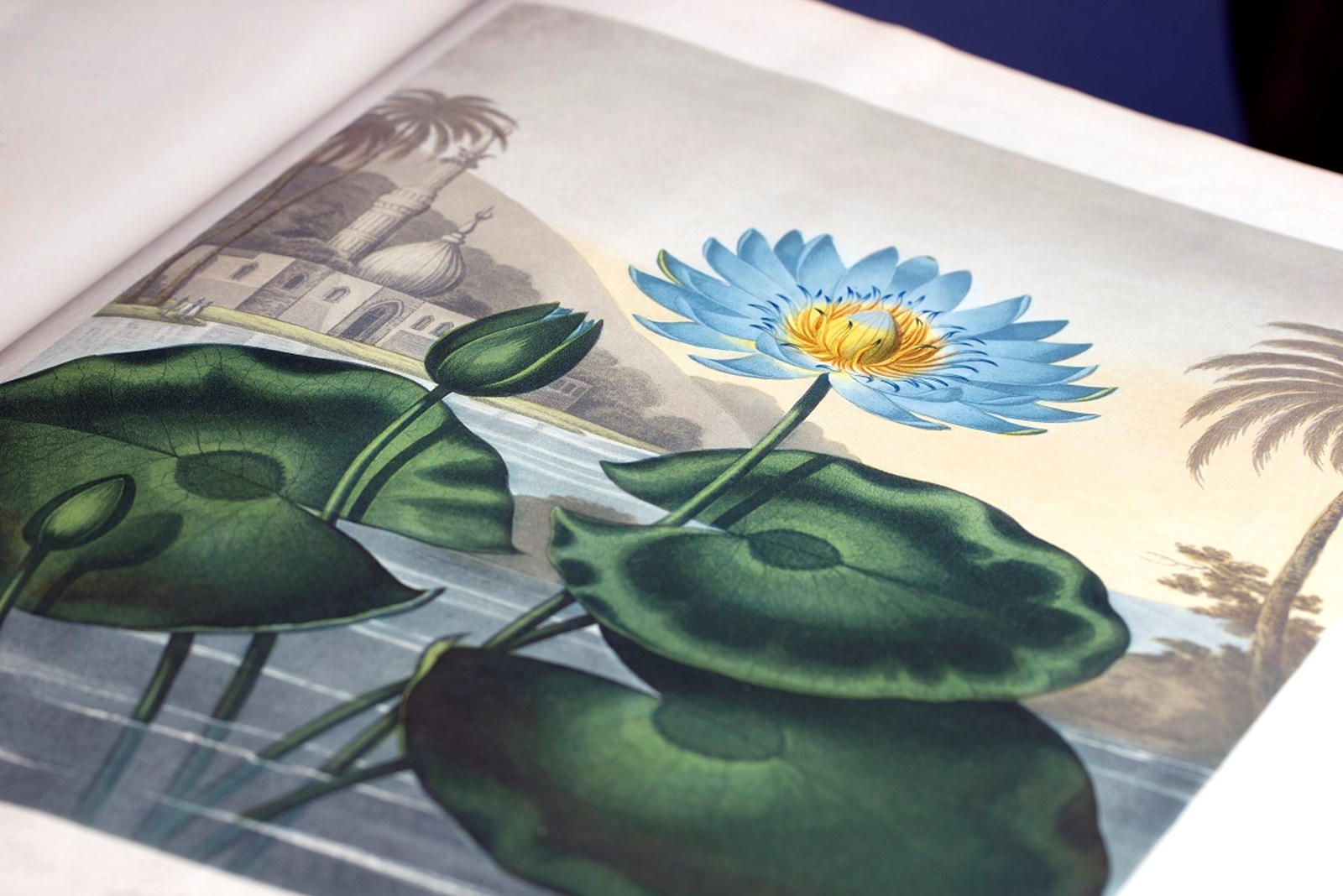 Our Wealth Management Investment Services Rothschild & Co