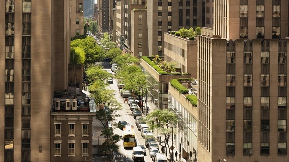 Aerial shot of the streets in New York, taken from the Rothschild office rooftop