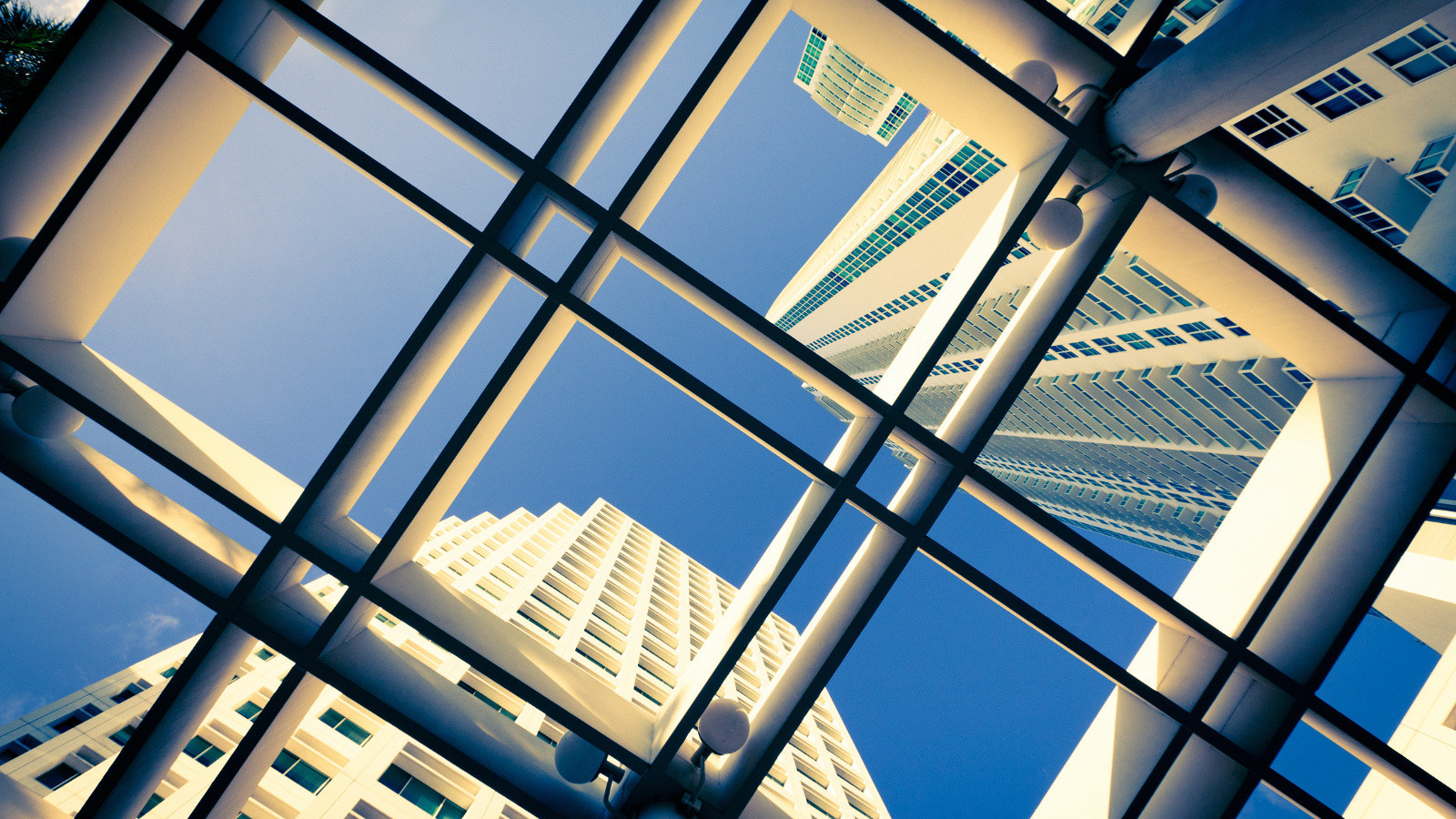 Windows above with view of high-rise buildings