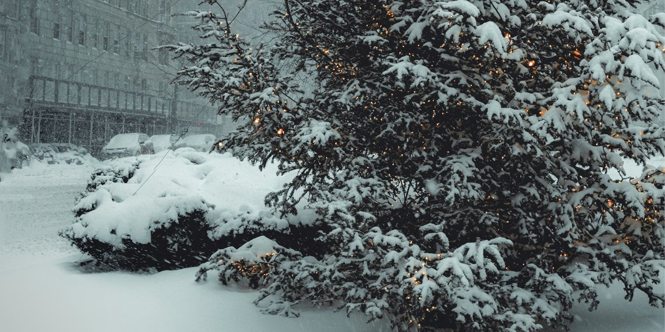 Article header - The Grinch (400x200).jpg