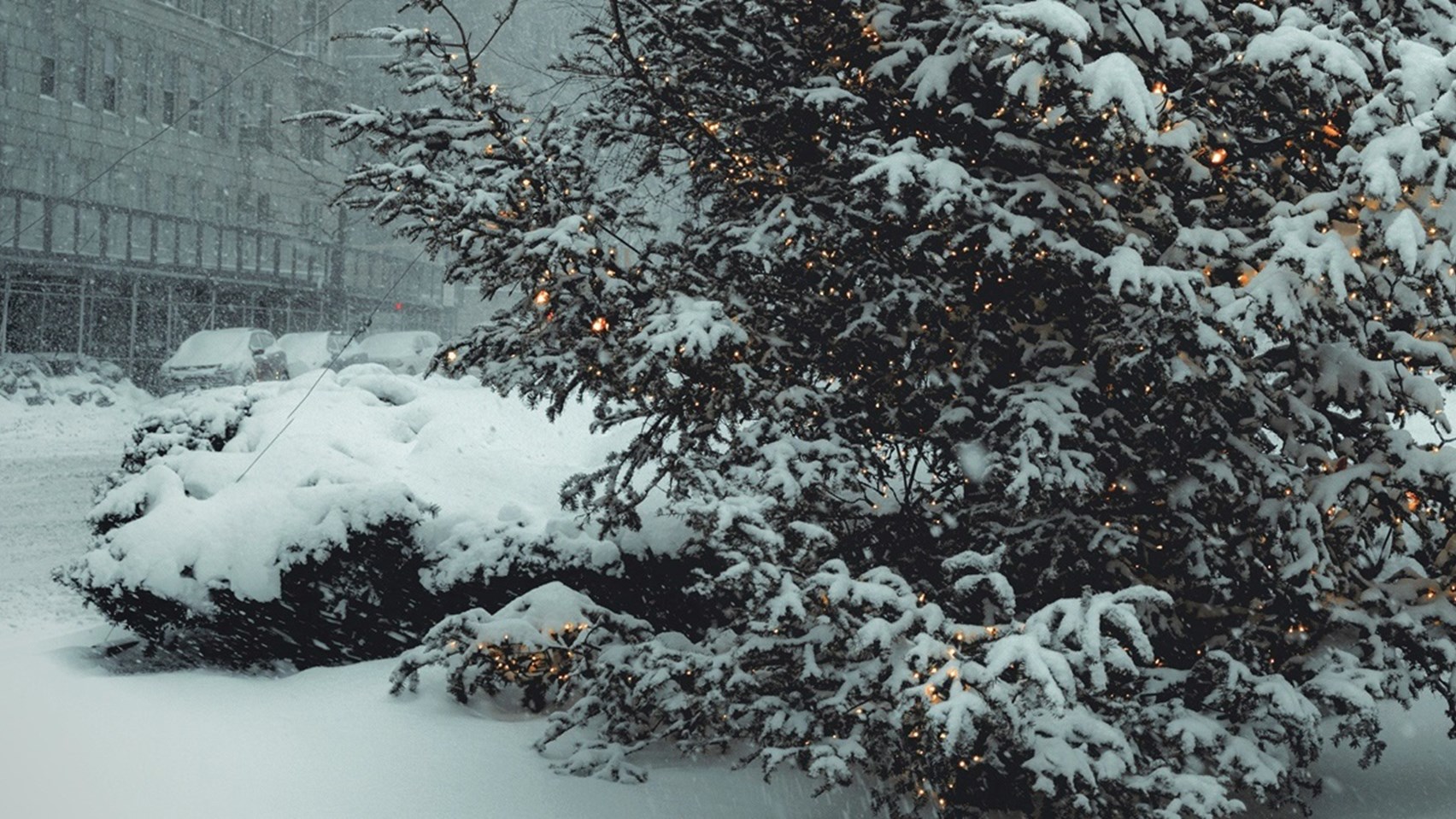Article header - The Grinch (400x200).jpg