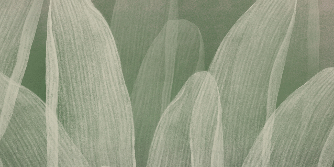 Article header - Investing in a greener future.jpg
