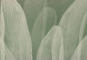 Article header - Investing in a greener future.jpg
