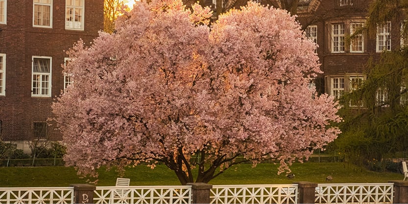 EinblickeQ2_header.jpg