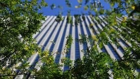 A modern photograph of Rothschild & Co’s New York City offices, taken from below with trees in the foreground and a blue sky in the background. The windows are glass with panels of white in between, which appears as black and white stripes in the photograph.